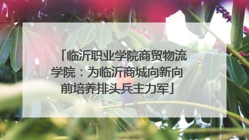 临沂职业学院商贸物流学院：为临沂商城向新向前培养排头兵主力军