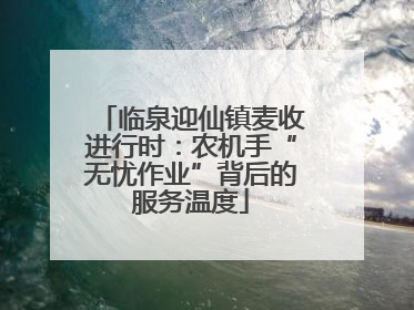 临泉迎仙镇麦收进行时：农机手“无忧作业”背后的服务温度