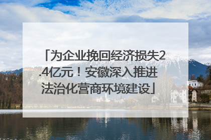 为企业挽回经济损失2.4亿元！安徽深入推进法治化营商环境建设
