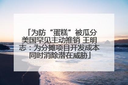 为防“蛋糕”被瓜分 美国罕见主动推销 王明志：为分摊项目开发成本同时消除潜在威胁