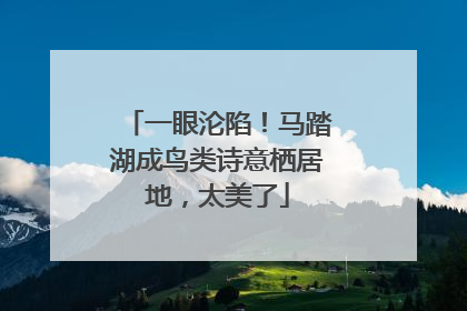 一眼沦陷！马踏湖成鸟类诗意栖居地，太美了