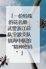 一份特殊的花名册：武警浙江总队宁波支队镇海中队的“精神密码”