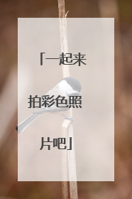 一起来拍彩色照片吧