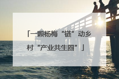 一颗杨梅“链”动乡村“产业共生圈”