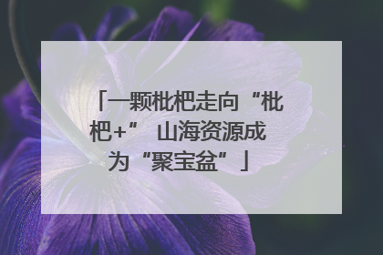 一颗枇杷走向“枇杷+” 山海资源成为“聚宝盆”