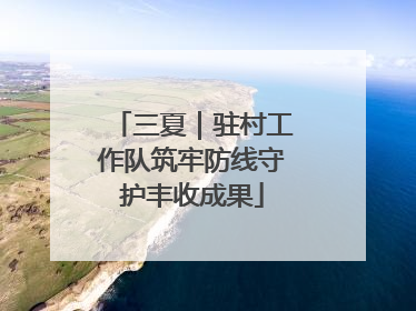 三夏｜驻村工作队筑牢防线守护丰收成果
