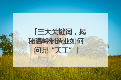 三大关键词，揭秘温岭制造业如何问鼎“天工”