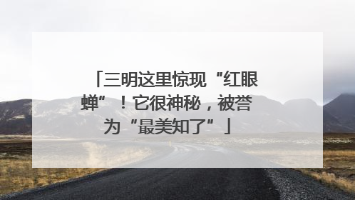 三明这里惊现“红眼蝉”！它很神秘，被誉为“最美知了”