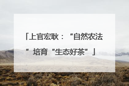 上官宏耿：“自然农法”培育“生态好茶”