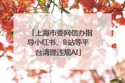 上海市委网信办指导小红书、B站等平台清理违规AI