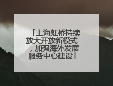 上海虹桥持续放大开放新模式，加强海外发展服务中心建设