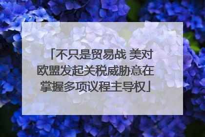 不只是贸易战 美对欧盟发起关税威胁意在掌握多项议程主导权