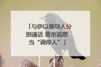 与伊以领导人分别通话 普京说愿当“调停人”