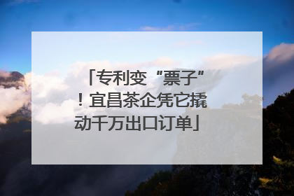 专利变“票子”！宜昌茶企凭它撬动千万出口订单