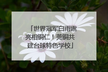 世界冠军白雨露亮相铜仁！莞铜共建台球特色学校