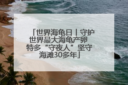 世界海龟日丨守护世界最大海龟产卵 特多“守夜人”坚守海滩30多年