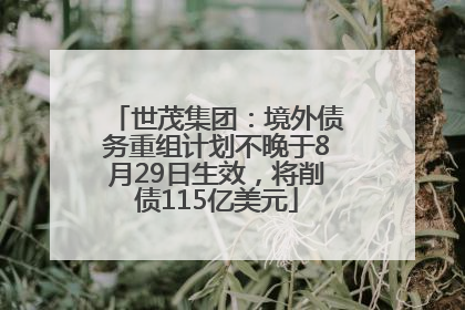 世茂集团：境外债务重组计划不晚于8月29日生效，将削债115亿美元