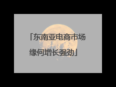 东南亚电商市场缘何增长强劲