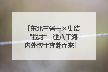 东北三省一区集结“揽才” 逾八千海内外博士奔赴而来