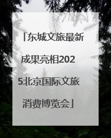 东城文旅最新成果亮相2025北京国际文旅消费博览会