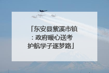 东安县紫溪市镇：政府暖心送考 护航学子逐梦路