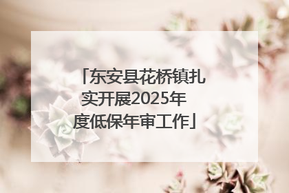 东安县花桥镇扎实开展2025年度低保年审工作