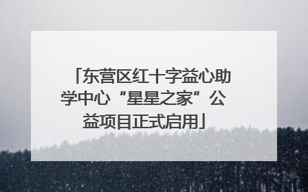 东营区红十字益心助学中心“星星之家”公益项目正式启用
