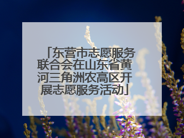 东营市志愿服务联合会在山东省黄河三角洲农高区开展志愿服务活动