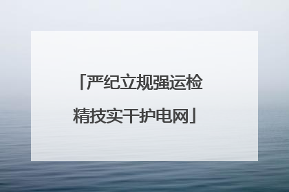 严纪立规强运检 精技实干护电网