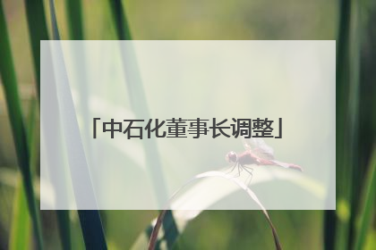 中石化董事长调整