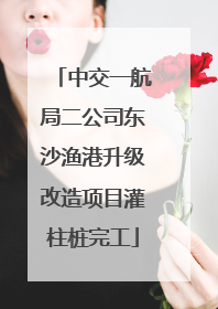 中交一航局二公司东沙渔港升级改造项目灌柱桩完工