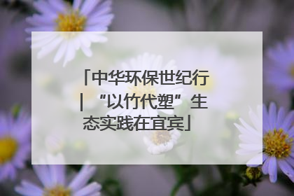 中华环保世纪行｜“以竹代塑”生态实践在宜宾