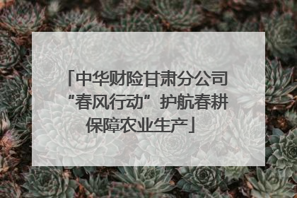 中华财险甘肃分公司“春风行动”护航春耕 保障农业生产