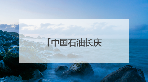 中国石油长庆油田采气二厂以数智积分制 撬动组织新活力