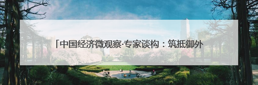 中国经济微观察·专家谈构：筑抵御外部风险制度防线 为民营企业保驾护航