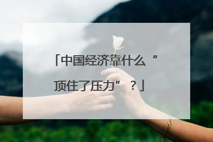 中国经济靠什么“顶住了压力”？