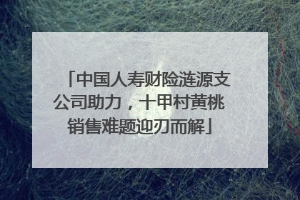 中国人寿财险涟源支公司助力，十甲村黄桃销售难题迎刃而解
