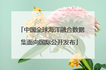 中国全球海洋融合数据集面向国际公开发布
