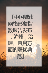 中国城市网络形象指数报告发布，泸州：治理、宜居方面的双优典范