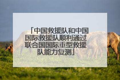 中国救援队和中国国际救援队顺利通过联合国国际重型救援队能力复测