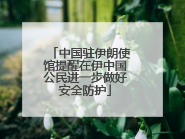 中国驻伊朗使馆提醒在伊中国公民进一步做好安全防护