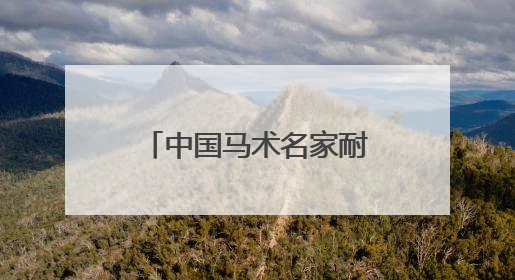中国马术名家耐力邀请赛举行