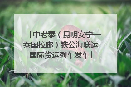 中老泰（昆明安宁—泰国拉廊）铁公海联运国际货运列车发车