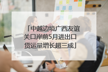 中越边境广西友谊关口岸前5月进出口货运量增长超三成