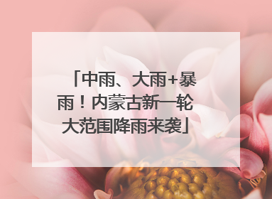中雨、大雨+暴雨！内蒙古新一轮大范围降雨来袭