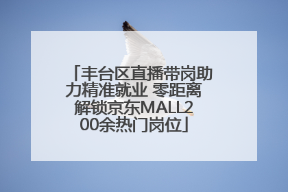 丰台区直播带岗助力精准就业 零距离解锁京东MALL200余热门岗位