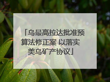 乌最高拉达批准预算法修正案 以落实美乌矿产协议