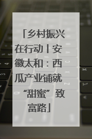 乡村振兴在行动丨安徽太和：西瓜产业铺就“甜蜜”致富路