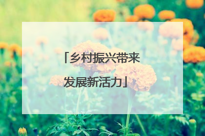 乡村振兴带来发展新活力
