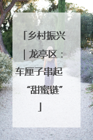 乡村振兴｜龙亭区：车厘子串起“甜蜜链”